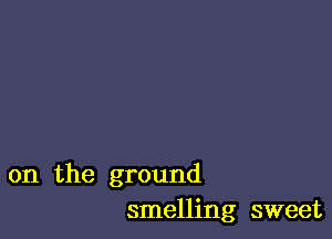 on the ground
smelling sweet
