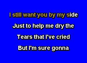 I still want you by my side
Just to help me dry the

Tears that I've cried

But I'm sure gonna