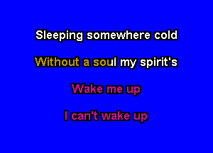 Sleeping somewhere cold

Without a soul my Spirit's
