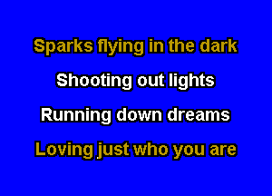 Sparks flying in the dark
Shooting out lights

Running down dreams

Loving just who you are