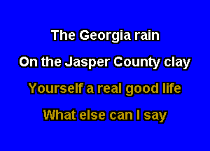 The Georgia rain

0n the Jasper County clay

Yourself a real good life

What else can I say