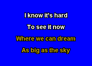 I know it's hard
To see it now

Where we can dream

As big as the sky