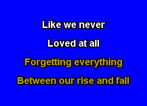 Like we never

Loved at all

Forgetting everything

Between our rise and fall
