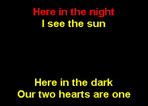 Here in the night
I see the sun

Here in the dark
Our two hearts are one