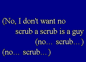 (No, I don't want no

scrub a scrub is a guy

(n0... scrub...)
(n0... scrub...)