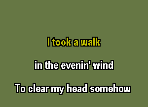 ltook a walk

in the evenin' wind

To clear my head somehow
