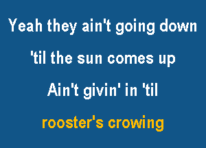 Yeah they ain't going down

'til the sun comes up
Ain't givin' in 'til

rooster's crowing