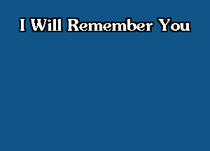 I Will Remember You