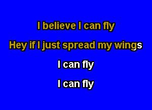 I believe I can fly

Hey if I just spread my wings

I can fly
I can fly