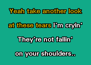 Yeah take another look

at these tears I'm cryin'

They're not fallin'

on your shoulders..
