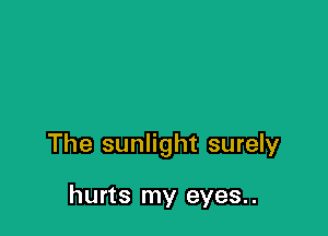 The sunlight surely

hurts my eyes..