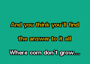 And you think you'll find

the answer to it all

Where com don't grow...