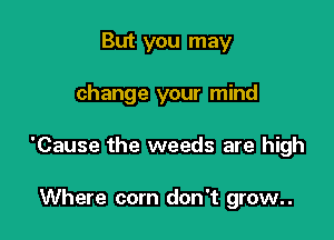 But you may

change your mind

'Cause the weeds are high

Where com don't grow..