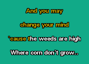 And you may

change your mind

'cause the weeds are high

Where com don't grow..