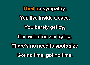 lfeel no sympathy.
You live inside a cave.
You barely get by,

the rest of us are trying.

There's no need to apologize

Got no time, got no time.