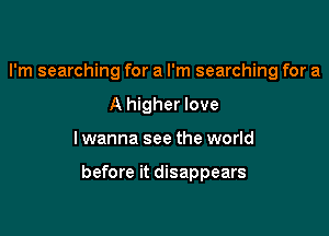 I'm searching for a I'm searching for a
A higher love

I wanna see the world

before it disappears