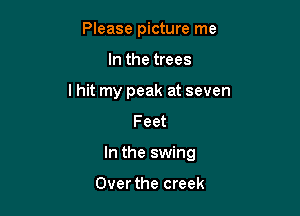 Please picture me
In the trees
I hit my peak at seven
Feet

In the swing

Over the creek