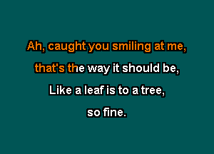 Ah, caught you smiling at me,

that's the way it should be,
Like a leaf is to a tree,

so fine.