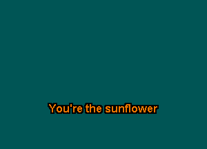 You're the sunflower