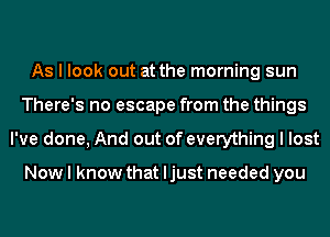 As I look out at the morning sun
There's no escape from the things
I've done, And out of everything I lost

Now I know that Ijust needed you