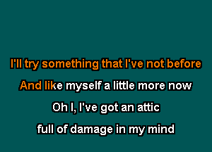 I'll try something that I've not before
And like myselfa little more now

Oh I, I've got an attic

full of damage in my mind