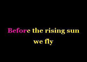 Before the rising sun

we fly