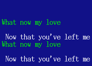 What now my love

Now that you've left me
What now my love

Now that you ve left me