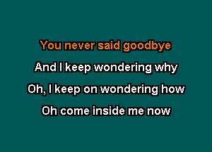 You never said goodbye

And I keep wondering why

Oh, I keep on wondering how

Oh come inside me now