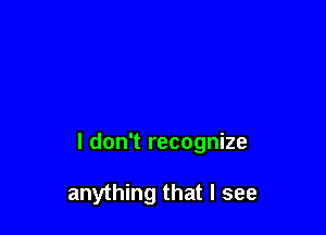 I don't recognize

anything that I see