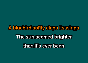 A bluebird softly claps its wings

The sun seemed brighter

than it's ever been