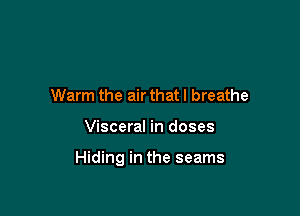 Warm the air that I breathe

Visceral in doses

Hiding in the seams