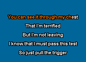 You can see it through my chest
That Pm terrified

But I'm not leaving

I know that I must pass this test

Sojust pull the trigger