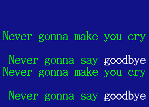 Never gonna make you cry

Never gonna say goodbye
Never gonna make you cry

Never gonna say goodbye