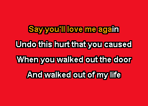 Say you'll love me again
Undo this hurt that you caused

When you walked out the door

And walked out of my life