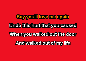 Say you'll love me again
Undo this hurt that you caused

When you walked out the door

And walked out of my life