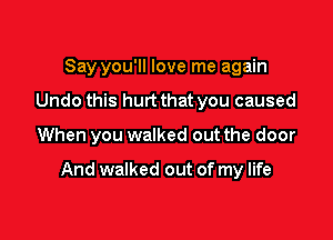 Say you'll love me again
Undo this hurt that you caused

When you walked out the door

And walked out of my life