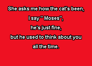 She asks me how the cat's been,
lsay  Moses,

he's just fine,

but he used to think about you

all the time.
