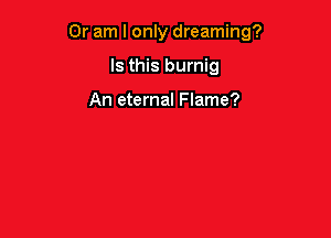 Or am I only dreaming?

Is this burnig

An eternal Flame?