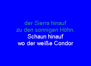 Schaun hinauf
wo der weifSe Condor