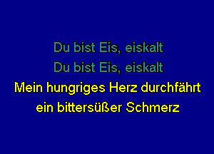 Mein hungriges Herz durchfahn
ein bittersUBer Schmerz