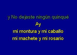 Ay

mi montura y mi caballo
mi machete y mi rosario