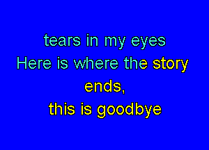 tears in my eyes
Here is where the story

ends.
this is goodbye