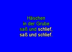 Haschen
in der Grube

saB und schlief,
saB und schlief.