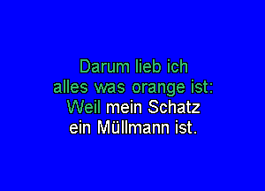 Darum lieb ich
alles was orange isti

Weil mein Schatz
ein MUllmann ist.