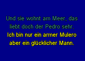 lch bin nur ein armer Mulero
aber ein glU'cklicher Mann.