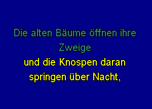 und die Knospen daran
springen Uber Nacht,