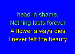 head in shame.
Nothing lasts forever

A flower always dies
I never felt the beauty