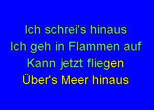 Ich schrei's hinaus
Ich geh in Flammen auf

Kann jetzt fliegen
Uber's Meer hinaus