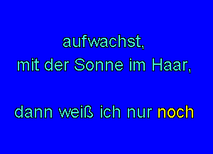 aufwachst,
mit der Sonne im Haar,

dann weiB ich nur noch