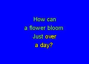 How can
a flower bloom

Just over
a day?